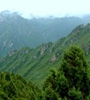 青海省對(duì)天然林保護(hù)工程進(jìn)行績效評(píng)價(jià)，對(duì)2018年度森林管護(hù)工作進(jìn)行了巡回監(jiān)理，實(shí)現(xiàn)績效評(píng)價(jià)和監(jiān)理工作的全覆蓋。