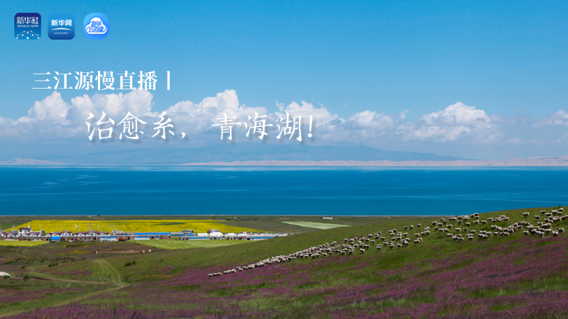 三江源慢直播丨治愈系，青海湖！